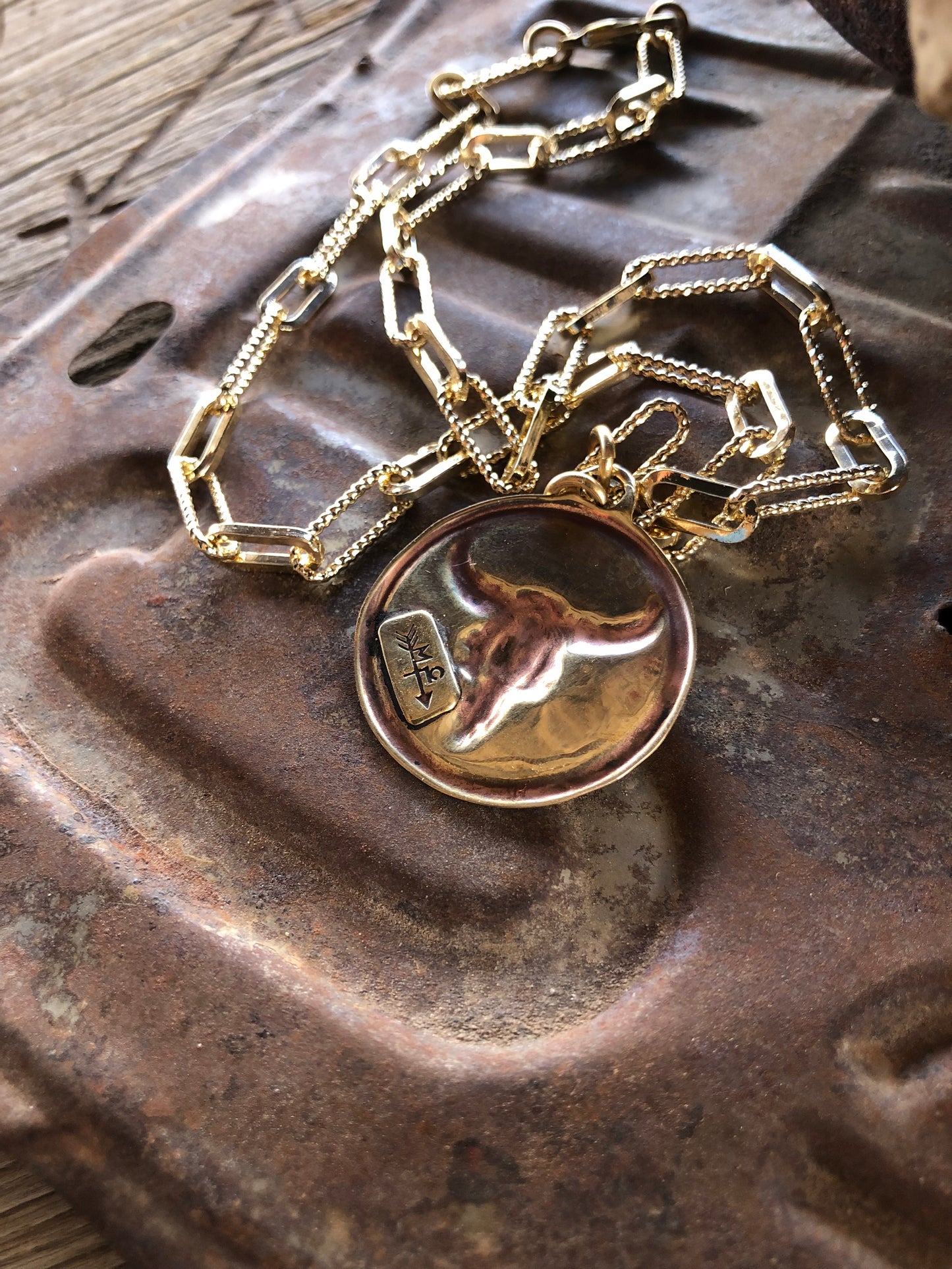 Solid Brass Buffalo Coin Necklace