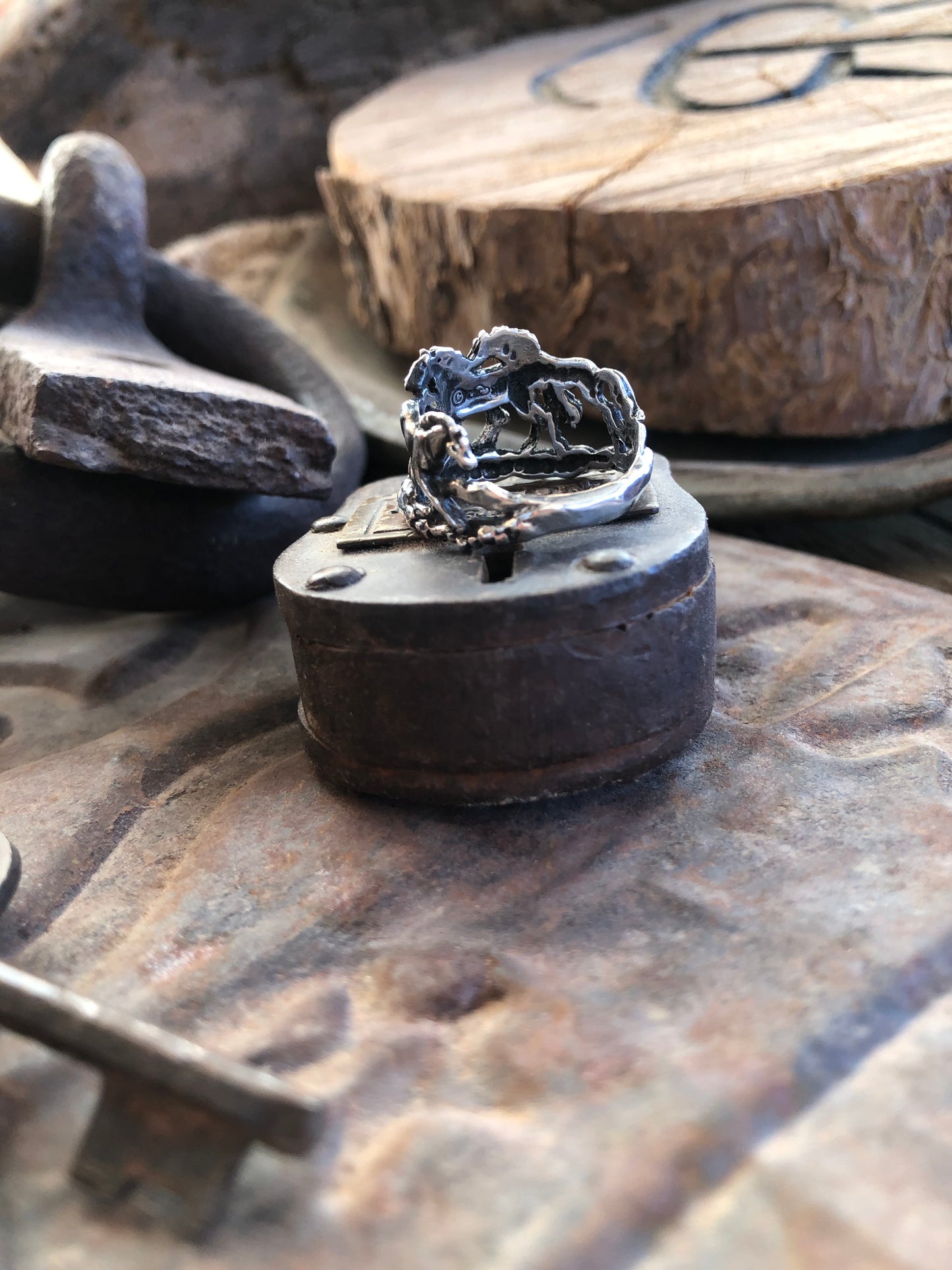 All The Horses Ring Size 9
