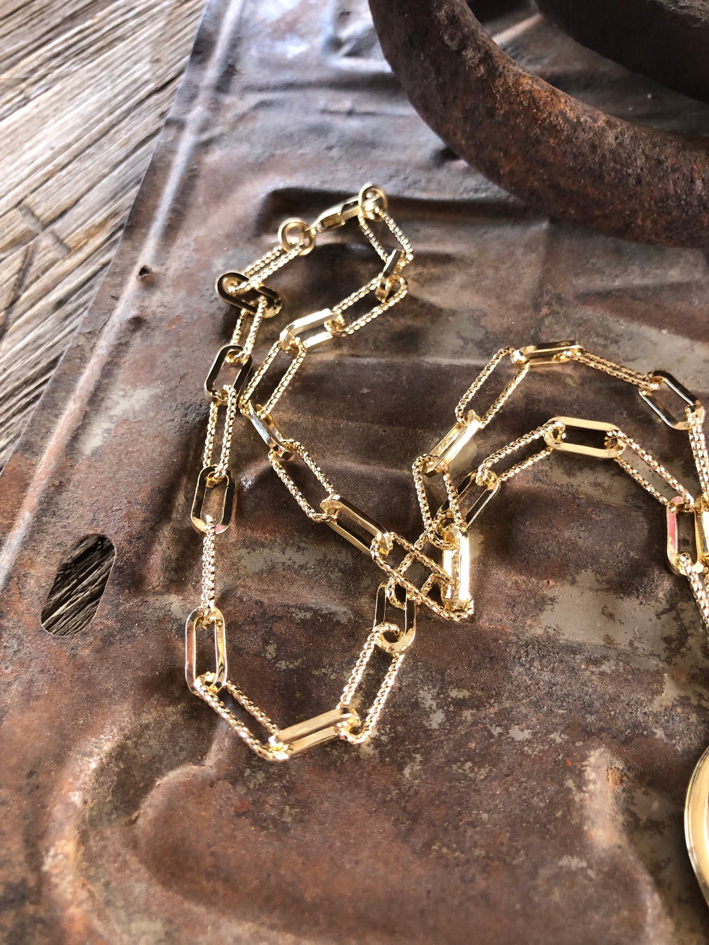Solid Brass Buffalo Coin Necklace